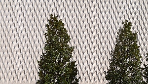  Arter Araştırma Programı’nın yeni dönemi için başvurular başladı