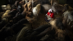 Kadın fotoğrafçılardan ‘Hayata Dair’ kareler