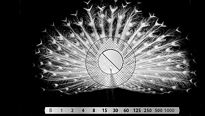 Beykoz'un en iyi fotoğrafına 10 bin TL ödül