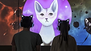 Çanakkale için bienal vakti: 7. Çanakkale Bienali başlıyor