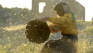 Oscar adayı belgesel Bal Ülkesi, TV'de ilk kez gösterilecek