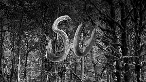 Yaşar Kurt'tan yeni albüm: Su