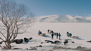 Altın Portakal'da yarışacak filmler belli oldu