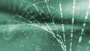 Theta Healing Nedir?