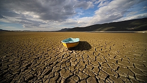 İklim değişikliğinin çarpıcı izleri objektiflere yansıdı