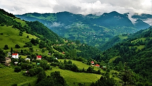 Türkiye ormanları sera gazı salınımının yüzde 16’sını tutuyor