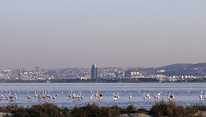 İzmir'in UNESCO adayı Gediz Deltası için birliktelik