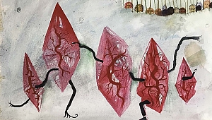 Pandemi döneminde ekolojik küratörlük: Kristal Berraklığı