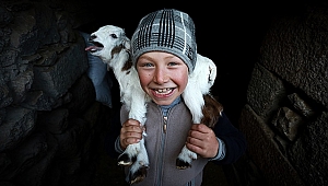  2020 yılının en iyi fotoğrafı belli oldu