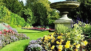 Güney Botanik Bahçe Bakım Hizmetleri