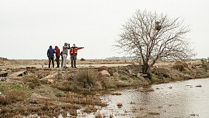 'Sulak alanlarımız kuruyor'