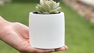 Hediye çiçek önerileri 2021