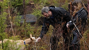 Kanunsuz Ada'nın 3. sezon bölümleri başlıyor