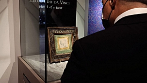Leonardo da Vinci'nin Head of a Bear adlı çizimi rekor fiyata satıldı