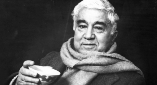 Aziz Nesin kimdir? Kısaca Aziz Nesin hayatı...