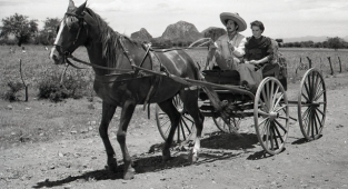 Bir başyapıtın perde arkası: Nazarin