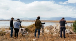 Gediz Deltası: Su kuşlarının vazgeçilmez göç durağı