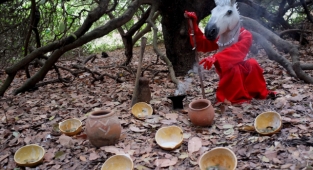 Pera Müzesi’nde yeni sergi: Yarına Notlar