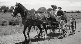 İstanbul Sinema Müzesi ve Atlas 1948 Sinemasının aralık programında neler var?