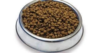 Kedi maması ve kedi ürünleri ekonomik fiyat etiketiyle Uygunpetgross'ta