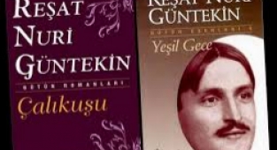 Çalıkuşu romanı özeti, çalıkuşu romanı ödev, çalıkuşu romanı hakkında detaylı bilgi