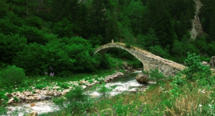 TEMA Vakfı 2021'in çevre olaylarını değerlendirdi