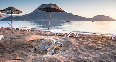 2022 yazında Türkiye'de gidilebilecek destinasyonlar