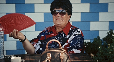 Documentarist'te ödüller sürgünler, Romanlar ve göçmenlere