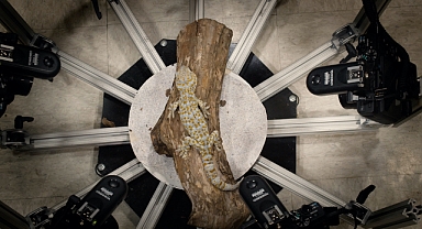 ‘Our Ark’, DokuFest’te yarışıyor