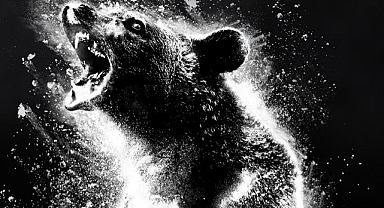 Vizyonda bu hafta hangi filmler var?