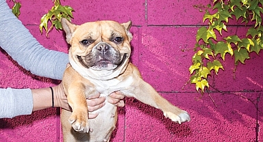 212 Photography Istanbul 