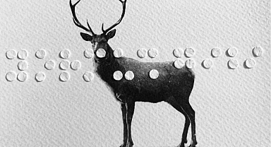 Yeni mezun sanatçılar yapıtlarını BASE'de sergileyecek