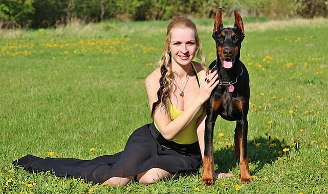 Doberman Pinscher: Güçlü ve Zarif Bir Arkadaş