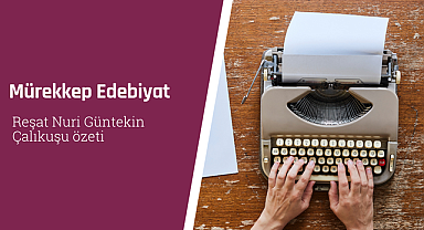 Reşat Nuri Güntekin Çalıkuşu özeti