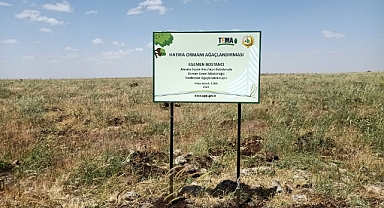 Sezen Aksu, Egemen Bostancı’nın adını hatıra ormanı ile yaşatacak