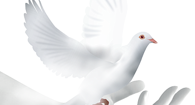 6. Rotary Örsçelik Balkan Kısa Film Yarışması 