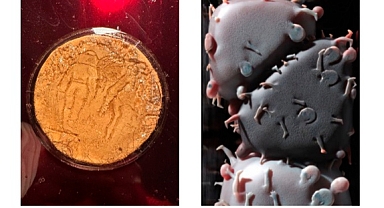 Açık Atölye Sanatçı Programı'ndan dönem sonu sergisi