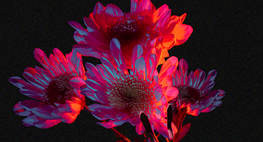 Jean Genet'nin Hizmetçiler'i moda sahnesi'nde