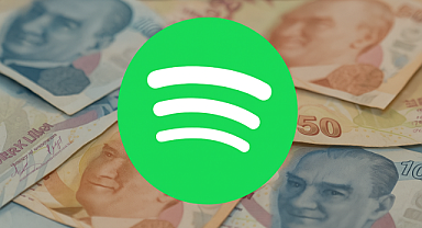 2024 yılında Türk sanatçılar Spotify'dan ne kadar kazandı?