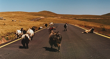Toprağı olmayanların hafızası: Cansu Yıldıran’ın Mülksüzler sergisi Bodrum’da