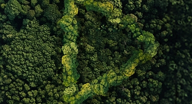 Ormanlar için kamera açılıyor: Yeşil Vatan Kısa Film Yarışması başvuruları başladı