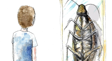 Matthew Maxwell’in Hamamböceğine Dokunmak kitabı Türkçede