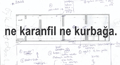 Banu Cennetoğlu’ndan yeni sergisi: ne karanfil ne kurbağa.