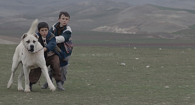 Kaan Müjdeci’nin Sivas filmi YouTube’ta