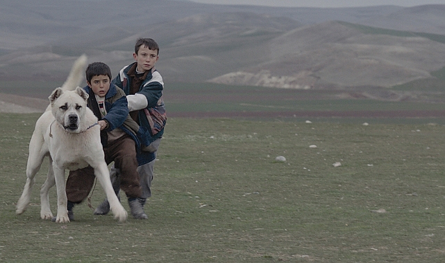 Kaan Müjdeci’nin Sivas filmi YouTube’ta