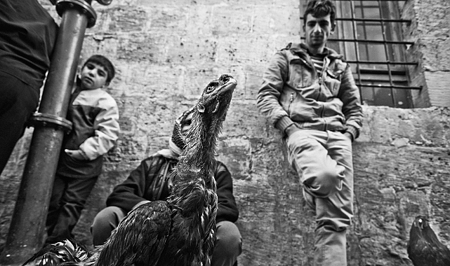 Kırılma zamanı: 15. Bursa Uluslararası Fotoğraf Festivali