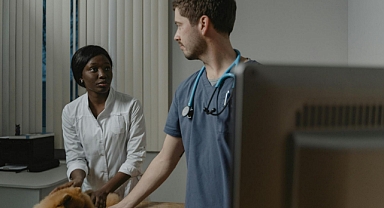 İlk Muayeneden Düzenli Kontrole: Fikirtepe Veteriner Hizmetlerinde GomVet Farkı