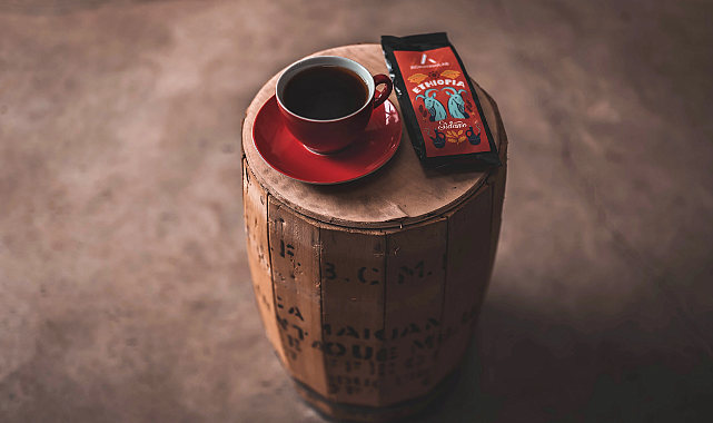 Filtre Kahve Rehberi: En İyi Filtre Kahve Nasıl Seçilir, Nasıl Demlenir?