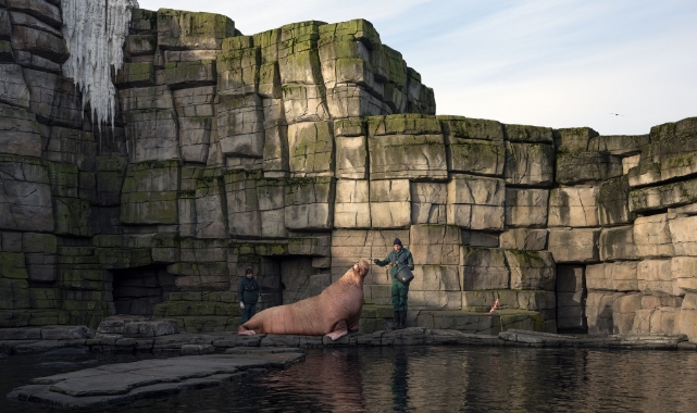 Gerçek ile hayal arasında: Hayaller ve Yerler sergisi İstanbul Modern’de