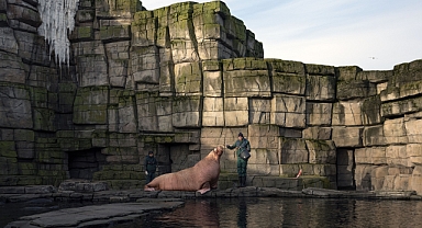 Gerçek ile hayal arasında: Hayaller ve Yerler sergisi İstanbul Modern’de